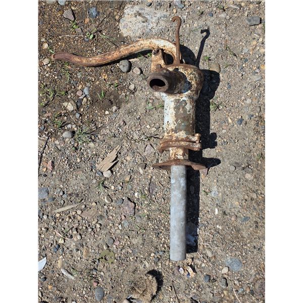 Antique well pump