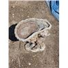 Image 2 : Cement bird bath- 17"H