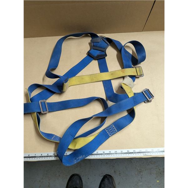 Fall arrest safety harness