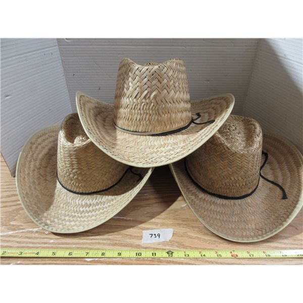 (3) Straw Hats