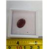 Image 1 : New - 7.3ct Natural Ruby - Retail $1750.00