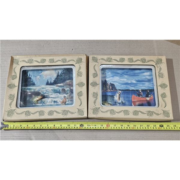 (2) Vintage 3D Framed Fishing Pictures (one has loose fish)