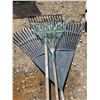 Image 2 : 3 rakes