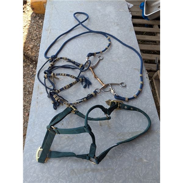 horse tack