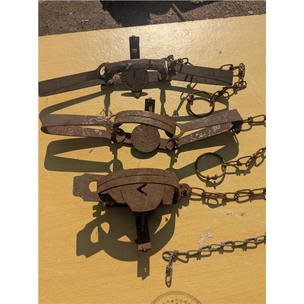3 vintage small animal traps, 4" wide jaws