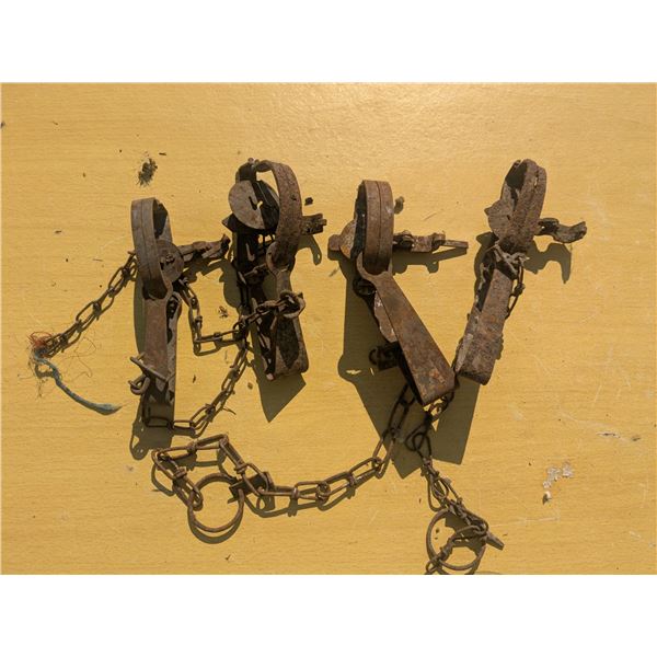 4 vintage small animal traps, 3" wide jaws