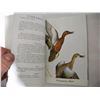 Image 7 : 1954 Sports Afield “Know your Ducks and Geese” Booklet