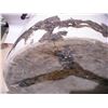 Image 12 : 10 Gal Imperial Medalta Potteries Stoneware Crock (repaired cracks)