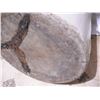 Image 13 : 10 Gal Imperial Medalta Potteries Stoneware Crock (repaired cracks)
