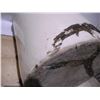 Image 14 : 10 Gal Imperial Medalta Potteries Stoneware Crock (repaired cracks)