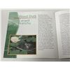 Image 8 : 1996 Royal Canadian Mint Discovering Nature: Little Wild Ones silver coin sets.