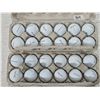 Image 1 : (24) Golf Balls – Kirkland Performance +