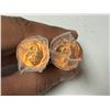 Image 2 : Roll of 1994 and 1996 Canada One Cents.