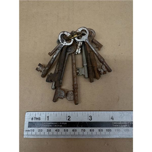 Lot of skeleton keys