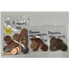 Image 1 : Bags of U.S.A AND Canada Pennies. (See Bag In Photo For More Detail)
