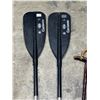 Image 4 : Paddle Set, Canes, Tree Trimmer