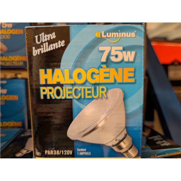 LOT DE 55 AMPOULES HALOGÈNES FLOOD 75W