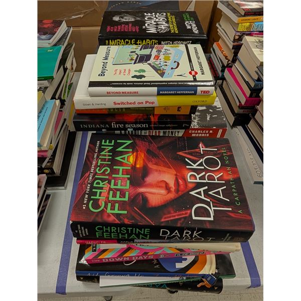 LOT DE +/- 50 LIVRES ANGLAIS ASSORTIS