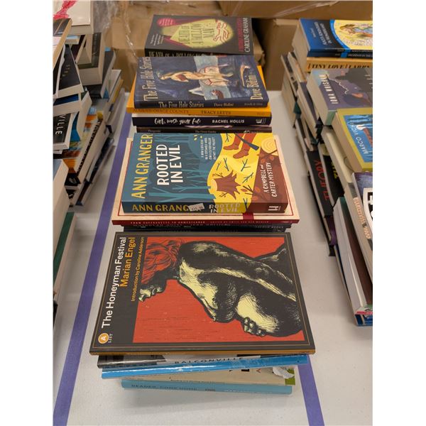LOT DE +/- 50 LIVRES ANGLAIS ASSORTIS