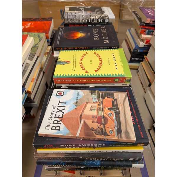 LOT DE +/- 50 LIVRES ANGLAIS ASSORTIS