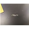 Image 4 : BUREAU NUEVO #169644 AVEC 2 TIROIRS (NOIR) #HGST153 #CNT42841 *DOMMAGES, VOIR PHOTOS* 55 PO X 27 PO 