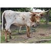 Image 1 : Mango Tree Cowgirl CPL