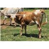 Image 1 : Scratch - Spicy Tuna Cowgirl CPL
