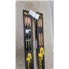 Image 3 : Two Packs of Gold Tip 100% Pure Carbon Arrows with Plastic and Feather Fletchings