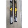 Image 4 : Two Packs of Gold Tip 100% Pure Carbon Arrows with Plastic and Feather Fletchings