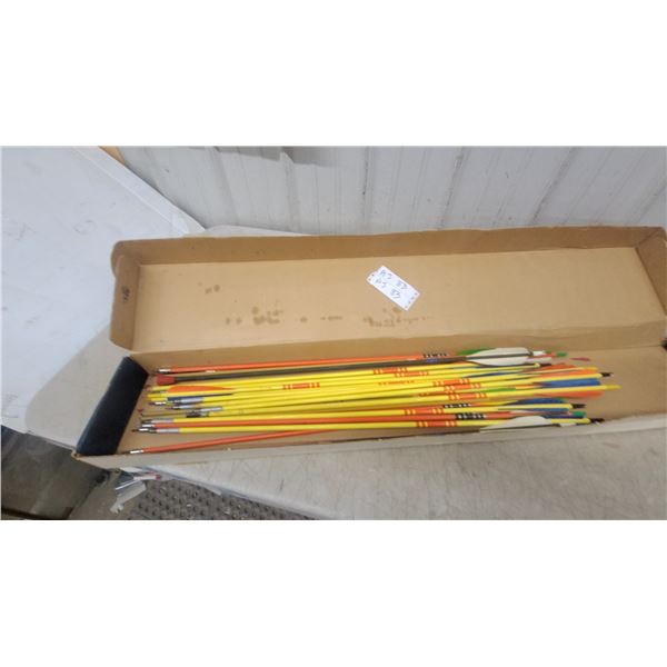 Assorted Archery Arrows with Metal Target Points in Yellow, Orange, and Black