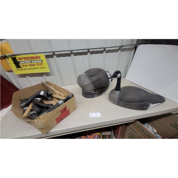 Canada Goose Shell Decoys and Box of Goose Head Stakes 12x