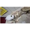 Image 3 : Snow Goose Hunting Decoys with Detachable Necks, Metal Stakes, and Canvas Bag 6x