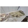 Image 5 : Snow Goose Hunting Decoys with Detachable Necks, Metal Stakes, and Canvas Bag 6x