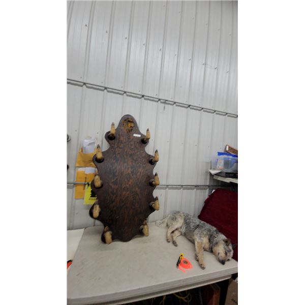 Antique Rustic Wall-Mounted Rack with Ten Taxidermied Deer Hoof Pegs on Shaped Wood Plaque 58 x 30"