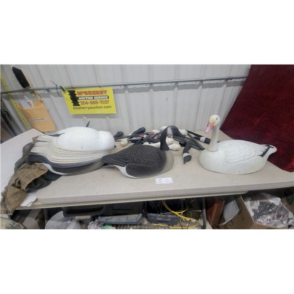 16 Canadian and Snow Geese Decoys