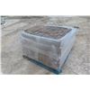 Image 2 : 220 Patio Stone (2nd Chance) – 6? up to 9? × 4?
