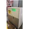 Image 6 : 2 GREY METAL CONSUMABLE CABINETS & SMALL METAL 2 DOOR CABINET