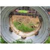 Image 2 : Tractor rim
