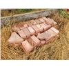 Image 4 : Red Keystone bricks, approx. 600