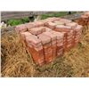 Image 6 : Red Keystone bricks, approx. 600