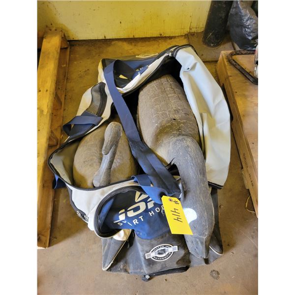 Qty of decoys
