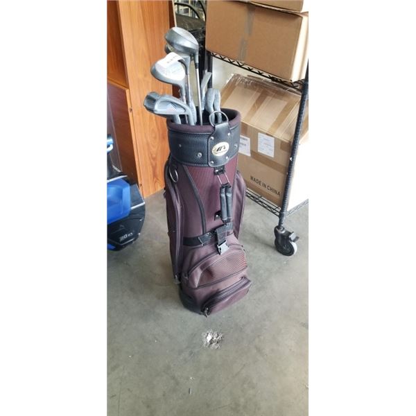 VINTAGE GOLF CLUBS IN BAG