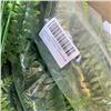 Image 5 : BOX OF NEW ARTIFICIAL BOSTON FERN DECOR AND FULL PLANT DECOR