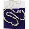 Image 1 : 2 STRANDS OF NATURAL SEED PEARLS