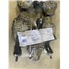 Image 2 : NEW GARDEN DECORATIVE OWL (BOX OF 6) RETAIL 99
