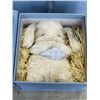 Image 3 : 7 NEW BABY RABBIT GIFT SETS WITH BOOK AND STUFFY