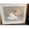 Image 1 : G. Lynch Framed Ram Portrait Drawing