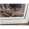 Image 4 : Ron Parker Northern Morning-Arctic Fox Print