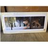 Image 2 : Shadow Lynx Limited Edition Print
