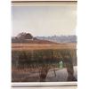 Image 6 : R.S. Parker 1985 Fox in Field Limited Edition